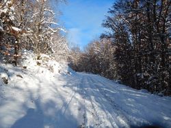 Mariet d'Arith et à la Cochette