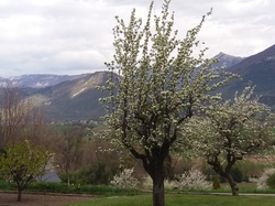 MN: cascade du Pichut