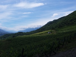 MN Sentier des Papillons