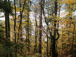 Mont Cornillon (Beaufortain)