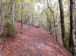 Mont Cornillon (Beaufortain)