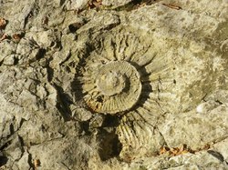 Mont Joigny - Pointe de la Gorgeat