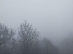 Mont Pellat (Chartreuse)