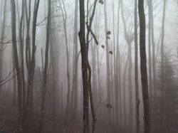 Mont Pellat (Chartreuse)