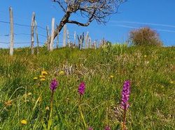 Montagne de Bange et lac de Mariet