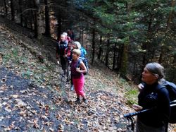 Parc à moutons (Bauges)