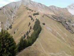 Parc à moutons (Bauges)