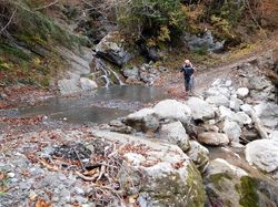 Parc à moutons (Bauges)