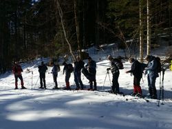 Pierre Mesure ( Chartreuse )