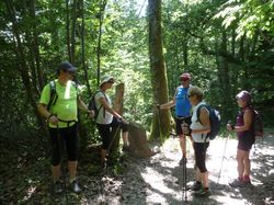 Pierre taillée Hauteville (La)