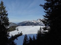 Plateau de Beauregard (Aravis)