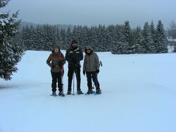 Plateau de  la Féclaz ( Bauges )