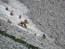 Pointe de l'Arcalod (Bauges)