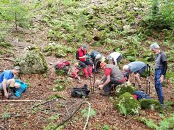 Pointe de la Gorgeat et mont Joigny