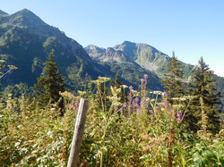 Pointe de la Sitre (Belledonne)