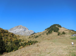 Praz Véchin ( Val d'Arly )