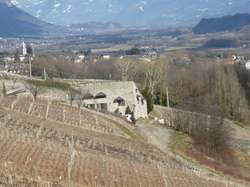 rando santé: Chemin des vignes