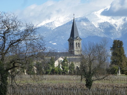 rando santé: Chemin des vignes