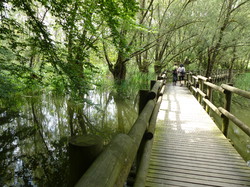 rando santé: Freydon