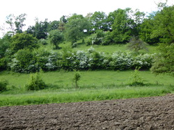 rando santé: la Sausse