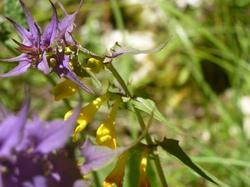 rando santé: Lac du Mariet