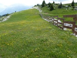 rando santé: le Margeriaz