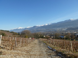 rando santé: Les Caloudes