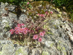 rando santé: Les Chambottes - Albiez Montrond