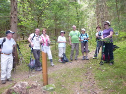 rando santé: les Marais du Bourget en Huile
