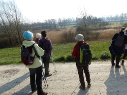 rando santé: les vignes de Chignin