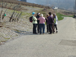 rando santé: les vignes de Chignin