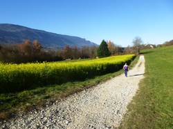 rando santé: Montfort