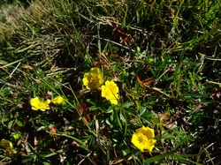 Refuge de la Croire (Beaufortain)