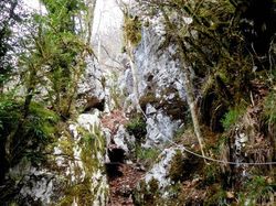 Sentier de Beauvoir (Chartreuse)