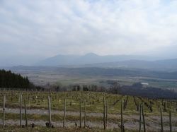 Sentier des papillons (Bauges)