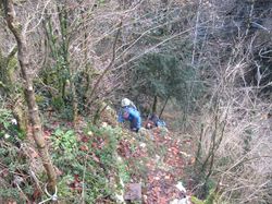 Sentier du Mont Beauvoir (Chartreuse)