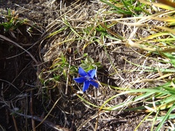 Sommet du Moriond dans le vallon du col d'Aussois