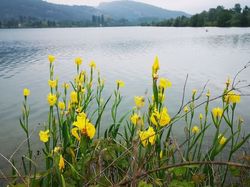 Sortie à la Confluence du Rhône et du Guiers