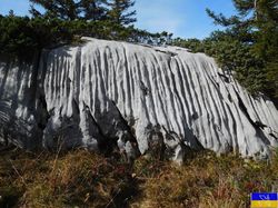 Sortie au lac de Tardevant