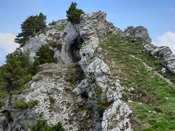 SORTIE AU MONT COLOMBIER