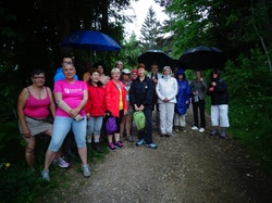 Sortie aux Orchidées au Col du Granier