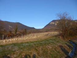 Sortie fin d'année 11 décembre 2016