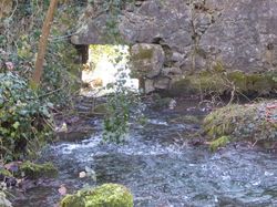 Sortie fin d'année 11 décembre 2016