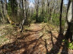 Source des charbonniers