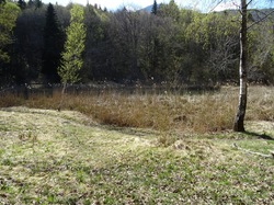 Source des charbonniers