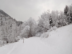 Sous la dent des Portes (Bauges)