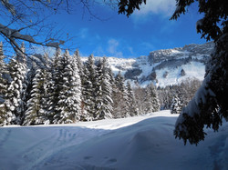 Sous la dent des Portes (Bauges)