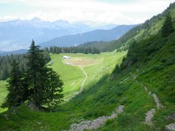Sous le Pas de l'Âne (Beaufortain)