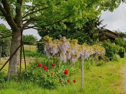 St Vital et alentours