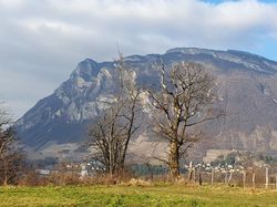 Sur les hauts de La Chavanne